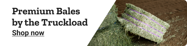 Standlee online for free in-store pickup. Shop now.