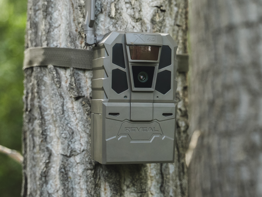 Reveal Cameras