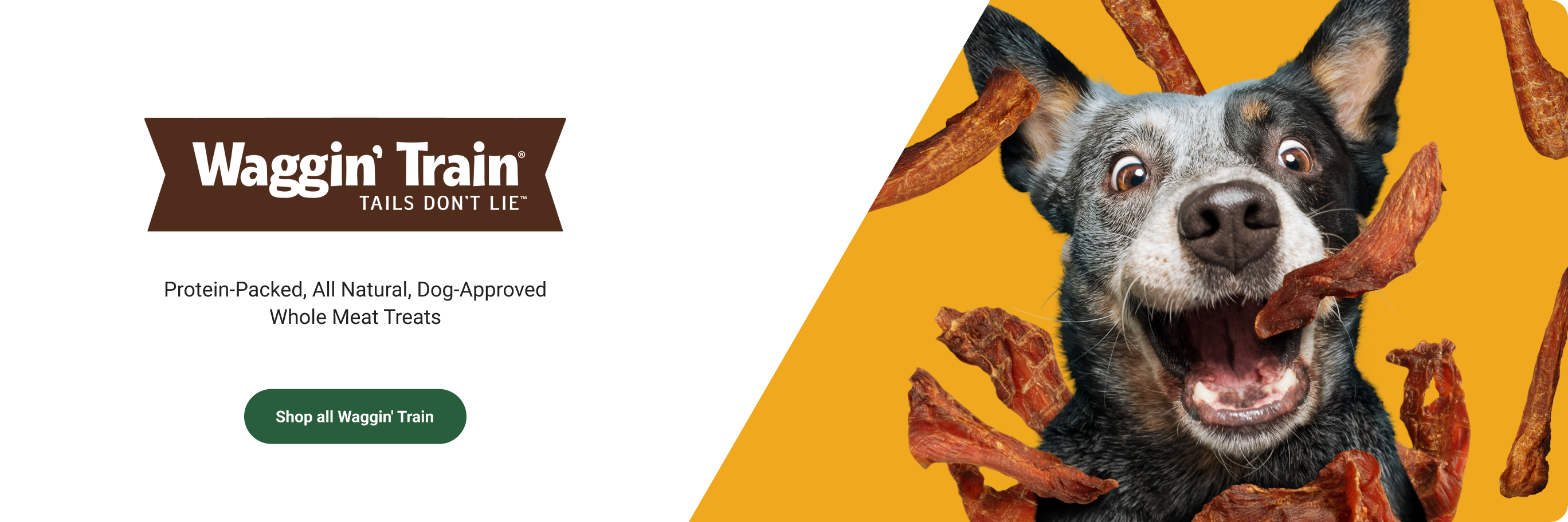 A cute dog with jerky flying around him. Shop Waggin Train all-natural whole meal dog treats.  
