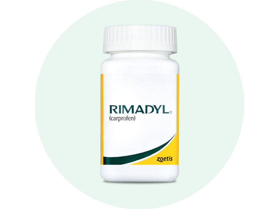 Rimadyl