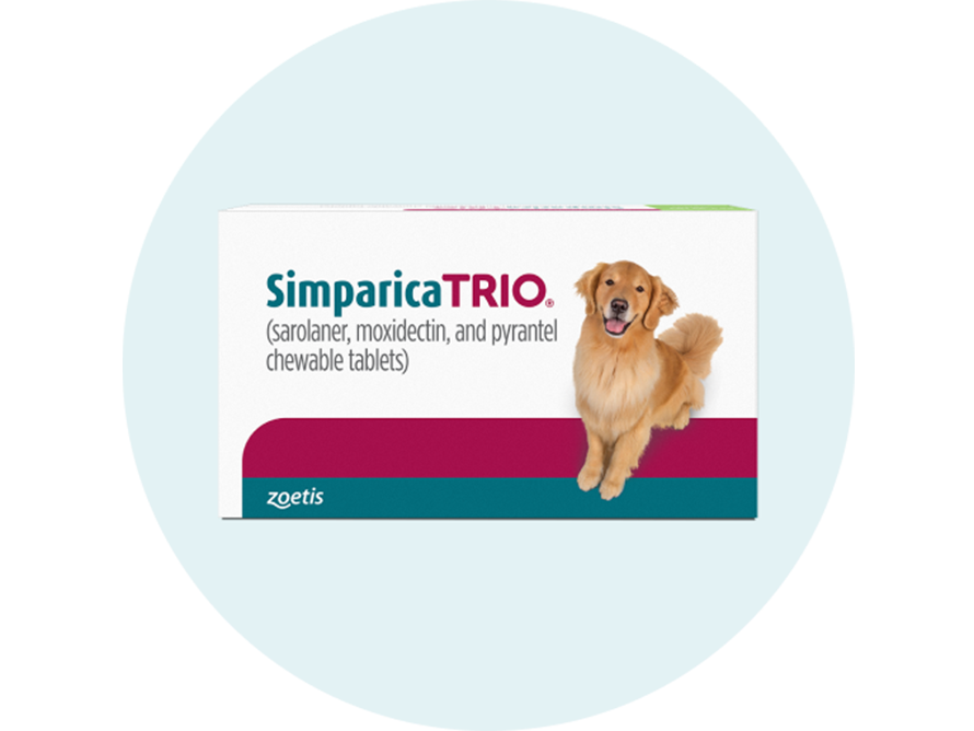 Simparica Trio