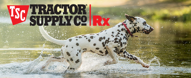Get your dog meds here