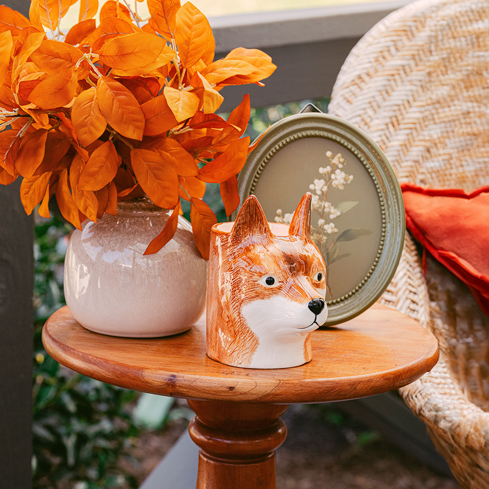 Category tile for fall tabletop and dining decor. Shop now.