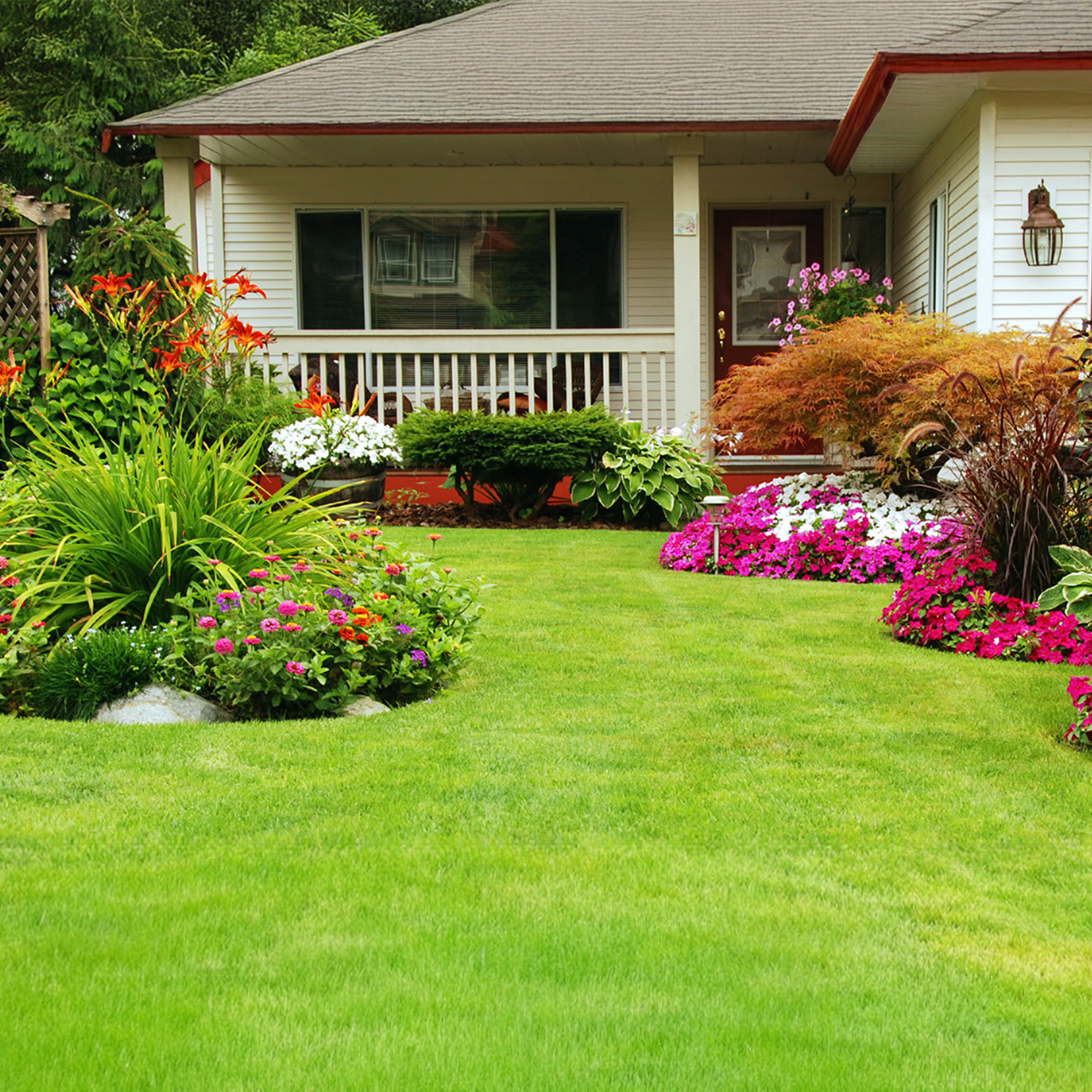 Lawn