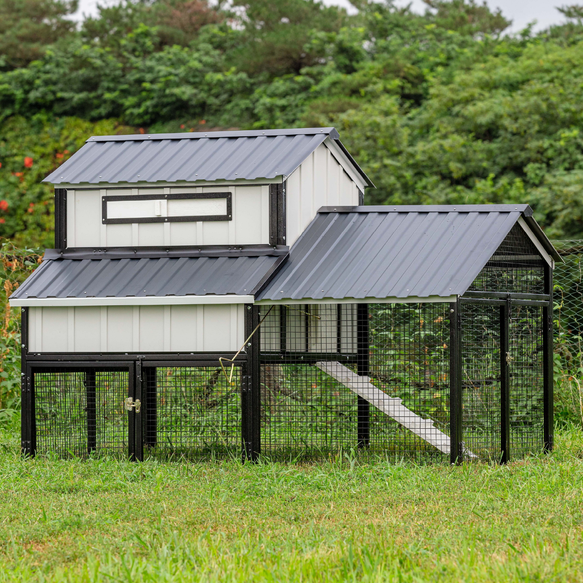 Shop feed, treats, heaters and waterers