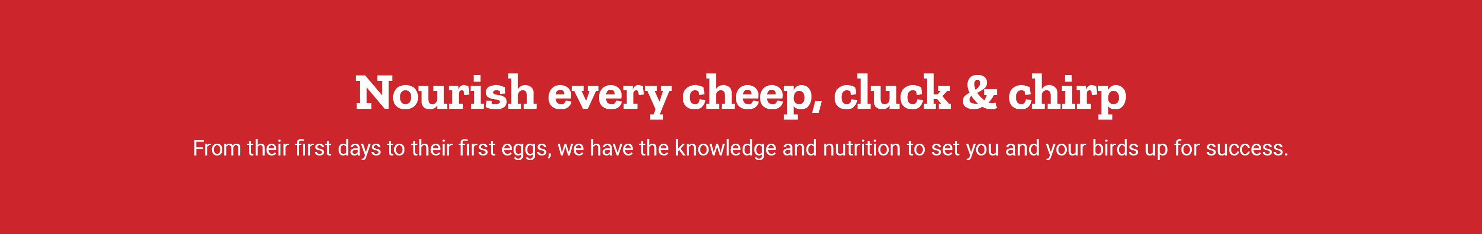 Nourish every cheep, cluck and chirp. From their first days to their first eggs, we have the knowledge and nutrition to set you and your birds up for success.