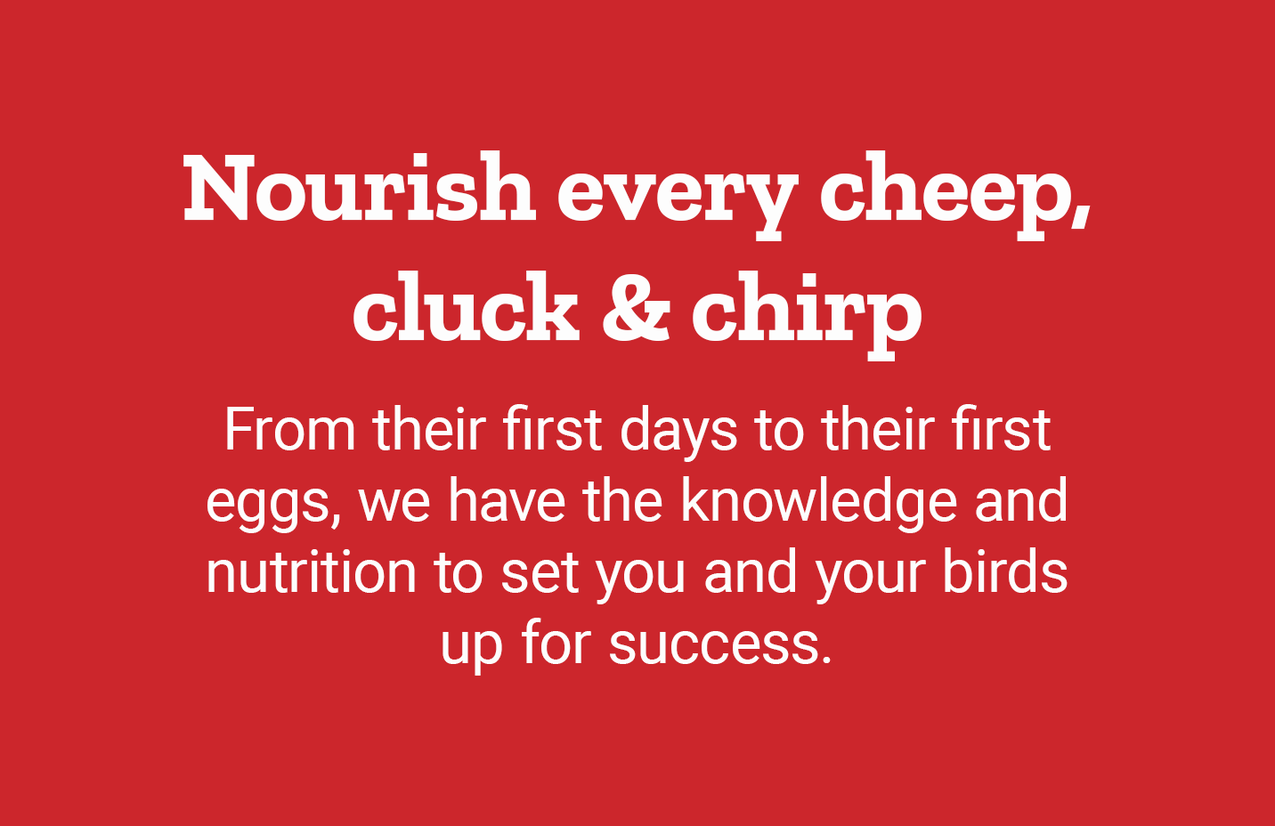 Nourish every cheep, cluck and chirp. From their first days to their first eggs, we have the knowledge and nutrition to set you and your birds up for success.