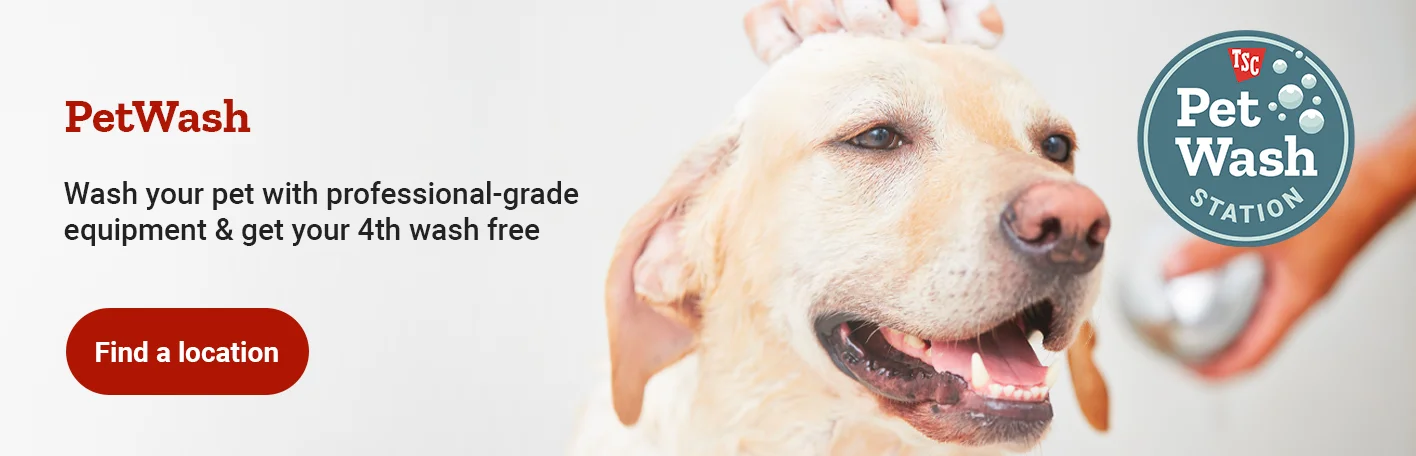 Banner reading Pet Wash. Wash your pet with professional grade equipment and get your fourth wash free. Find a location.
