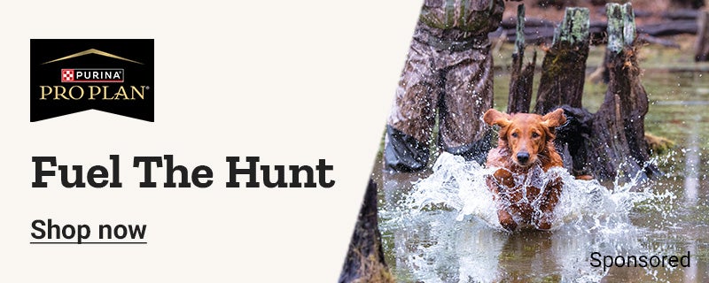 Fuel the hunt. Advanced nutrition for strength and stamina.