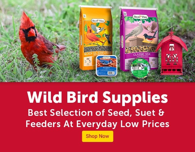 Wild Bird Supplies, Best Selection of Seed, Suet and Feeders At Everyday Low Prices. Shop Now.