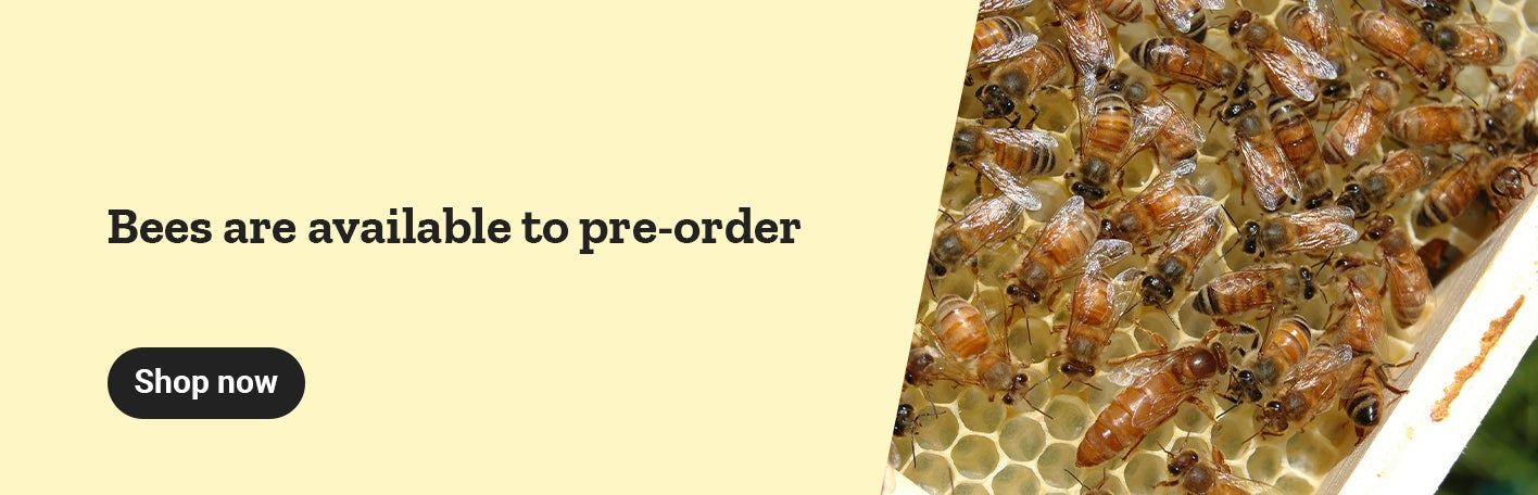 A banner with the text, bees are available to pre-order at Tractor Supply. Shop now.