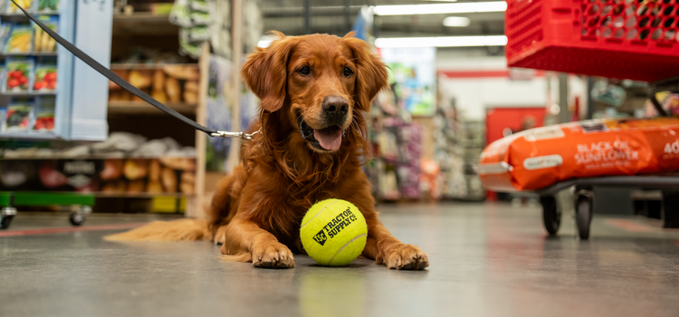 For Life Out Here | Tractor Supply Co.