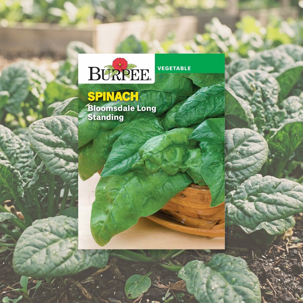 Category tile for seeds featuring assorted vegetable peppers. Shop now.
