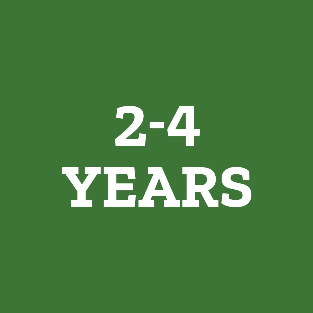Green circle labeled 2-4 Years. Shop toys for ages 2 to 4 years.