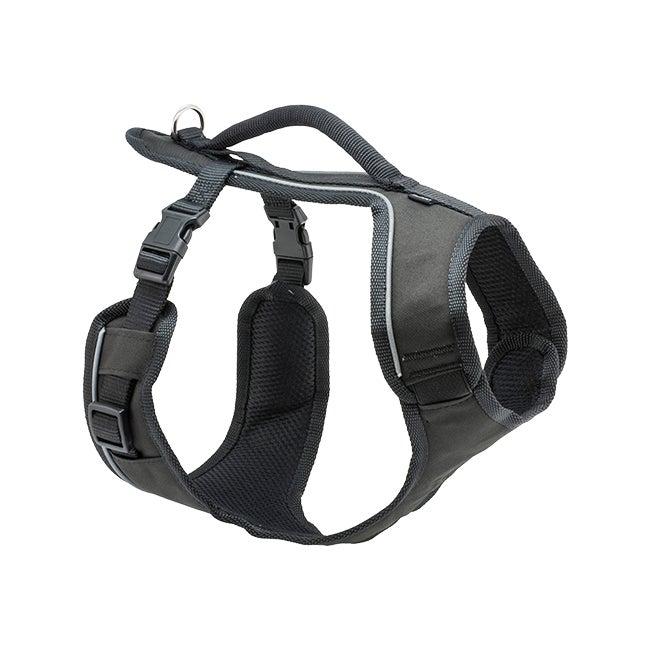 Category tile labelled dog collars, leashes and harnesses. Shop now. 