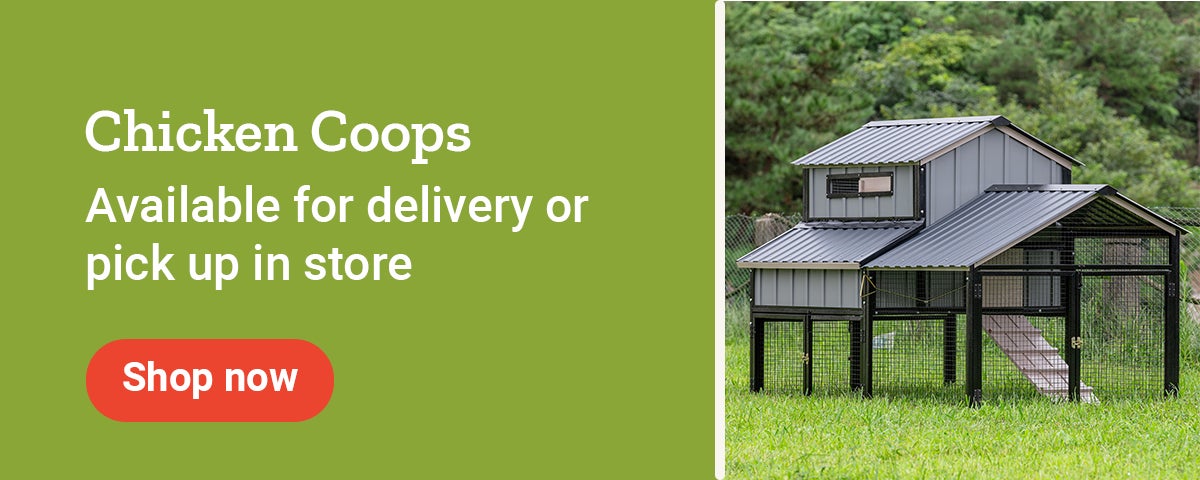 coops and pens $79 delivery or pick up in store