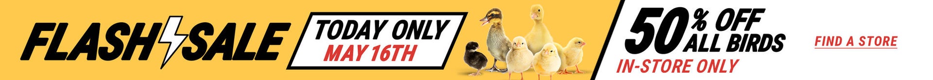 Flash Sale, Today Only, May 16th. 50% Off All Birds. In-Store Only.