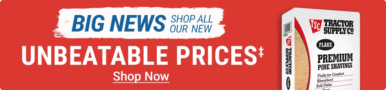 Unbeatable Prices