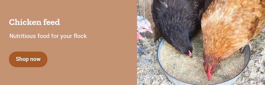 Poultry at Tractor Supply Co.