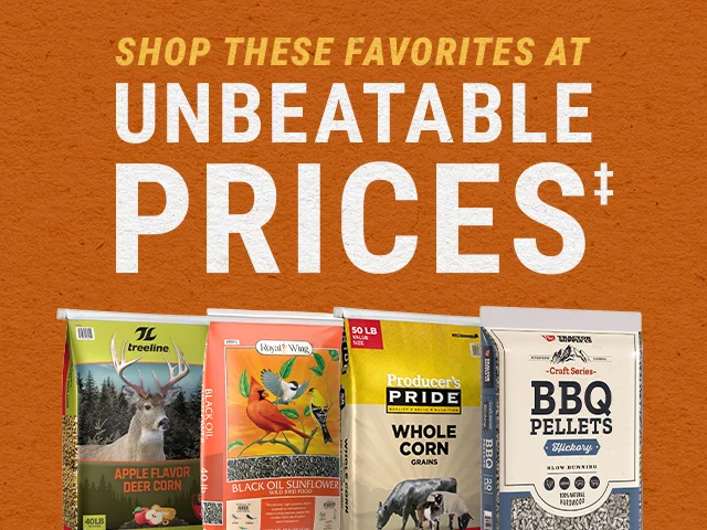 Shop these favorites at Unbeatable Prices‡