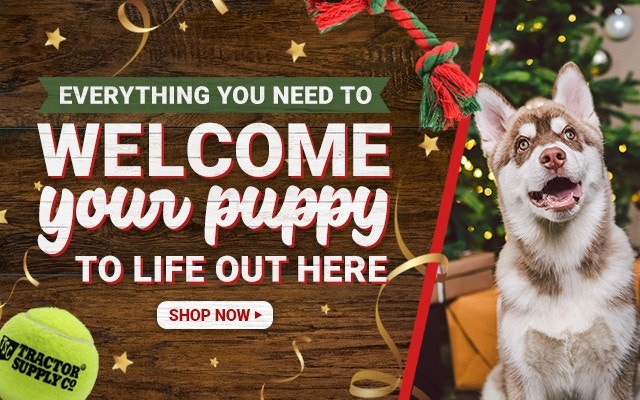 Everything You Need to Welcome Your Puppy to Life Out Here.