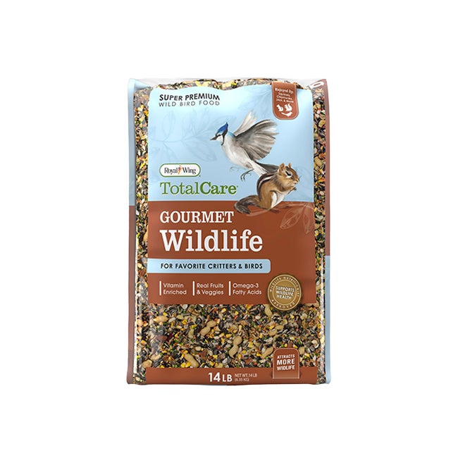 Category tile labeled squirrel feed. Shop now.