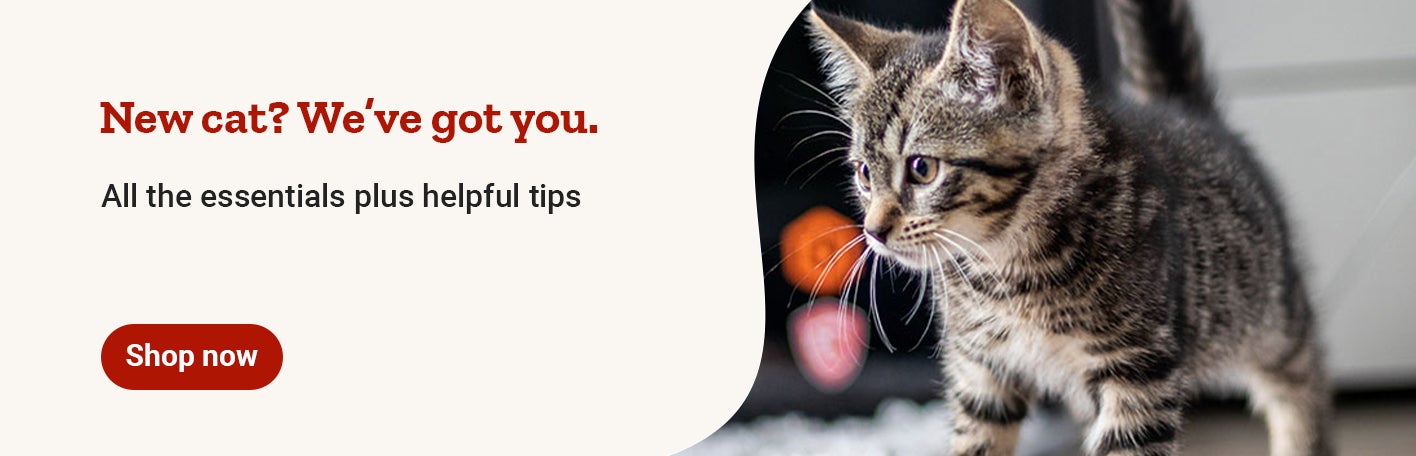 New cat? We’ve got you banner with text, All the essentials plus helpful tips, featuring a  kitten. Shop now.