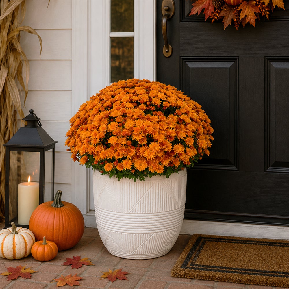 Category tile for flowers featuring colorful flowers in a planter. Shop now.