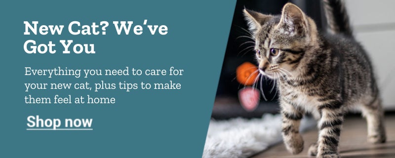 A banner with a cute kitten and the text, food, toys and more for every age and stage.