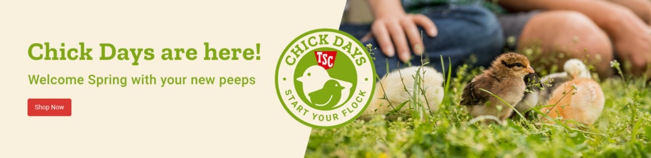 Chick Days are here! Welcome Spring with your new peeps. Shop Now