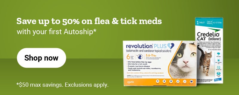 Alt text: Banner with the promotion, save up to 50 percent on flea and tick meds with your first autoship. 50 dollars max savings. Shop now.  