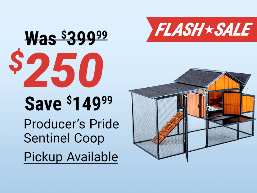 Flash Sale: Producer's Pride Sentinel Coop now $250, regularly $399.99. Save $149.99. Pickup available. Image shows a large chicken coop with attached enclosed run, nesting box, and access ramp.