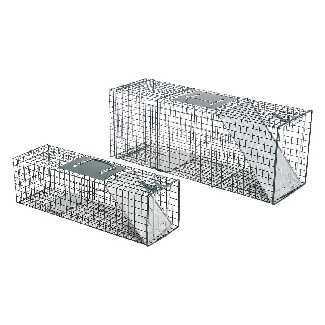 FARM RANCH AT TRACTOR SUPPLY CO intelligence overview