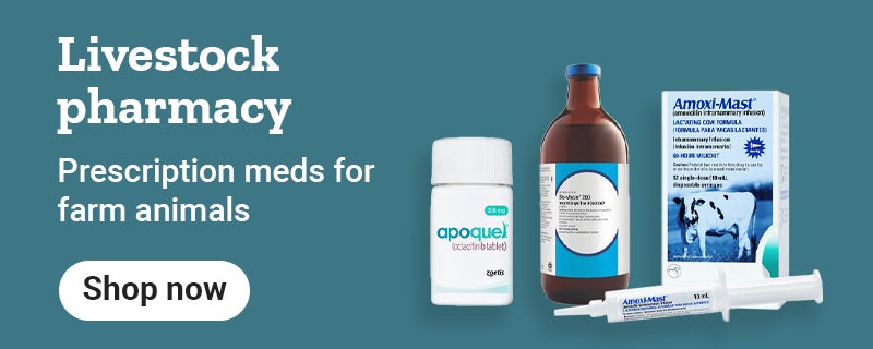 Tractor Supply's livestock pharmacy. Prescriptions for farm animals. Shop now.