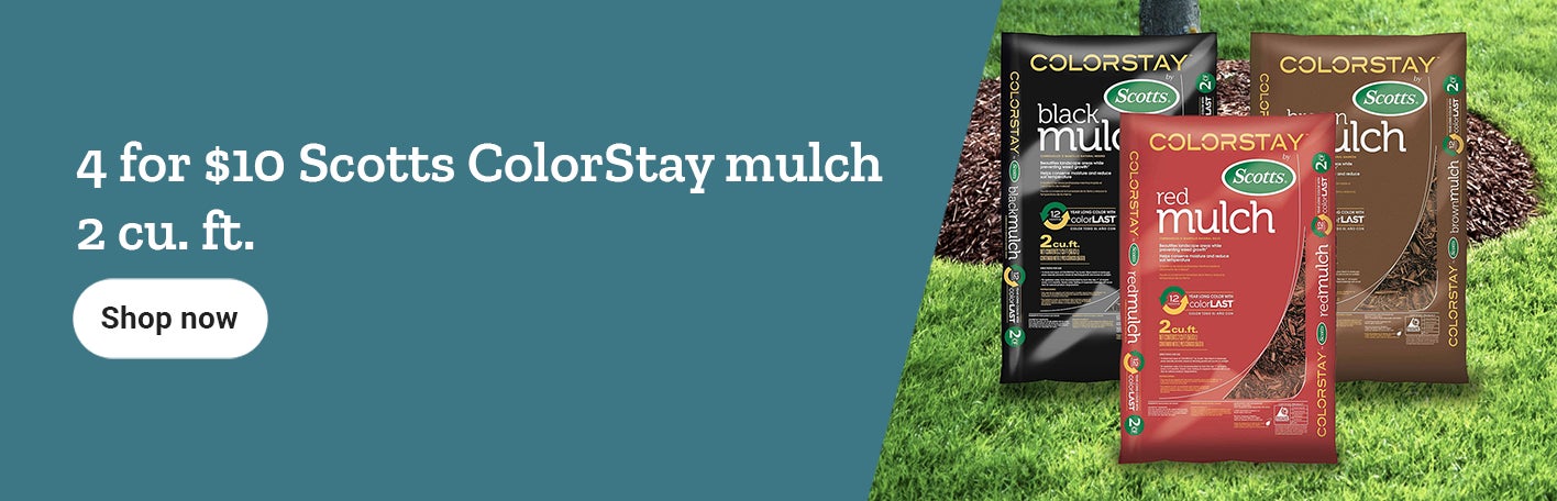 Scotts banner with text, 4 for 10 dollars Colorstay mulch featuring mulch bags and a shop now button.