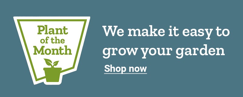 Plant of the Month. We make it easy to grow your garden. Shop now.
