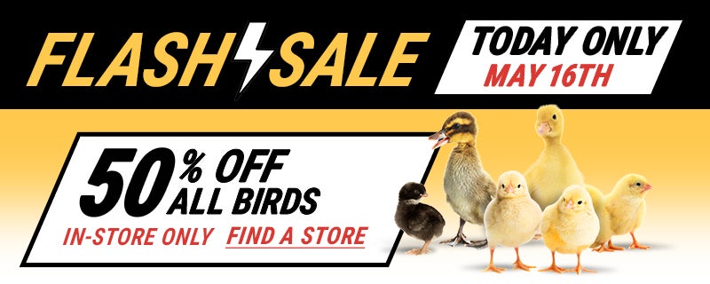 Flash Sale, Today Only, May 16th. 50% Off All Birds. In-Store Only.