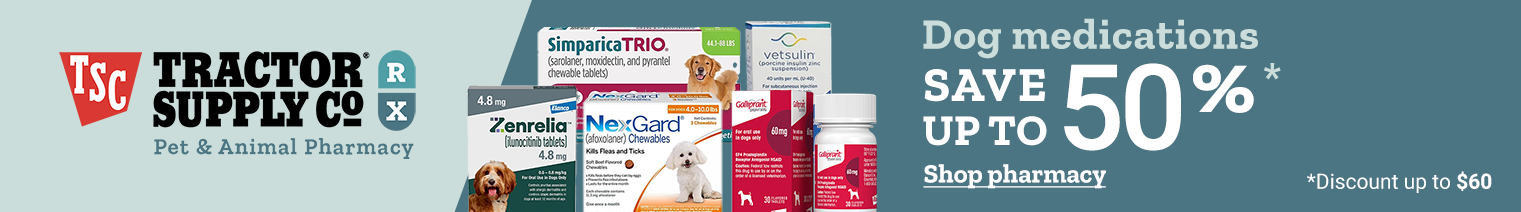 Dog medications are shown. Banner reads, save up to 50 percent on dog medications. Discount up to 60 dollars. Shop pharmacy.