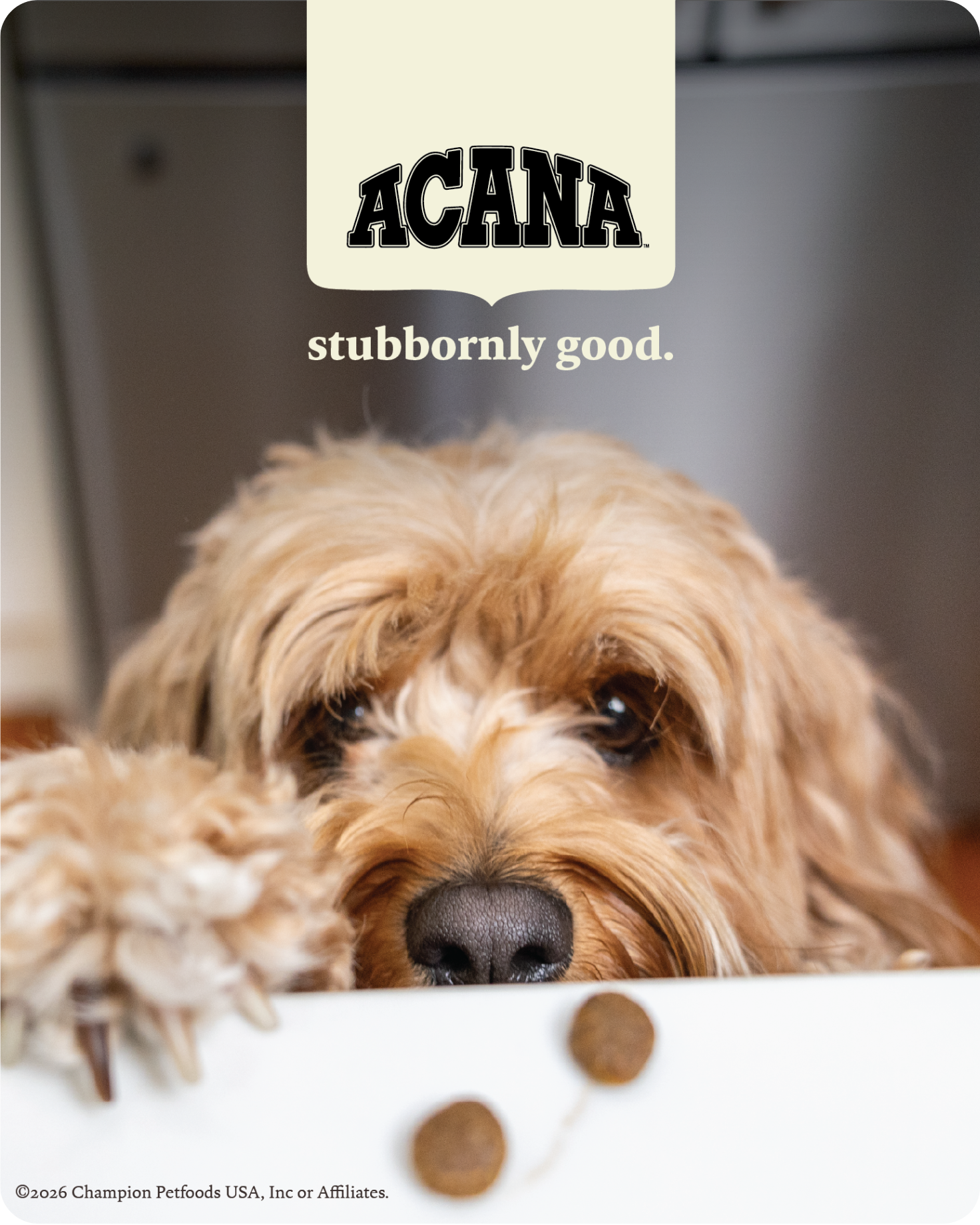 Shop for Acana Dog Food at Tractor Supply Co.