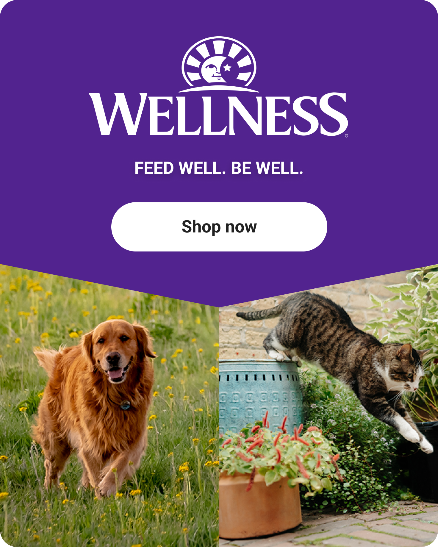 Shop for Wellness Dog Food at Tractor Supply Co.