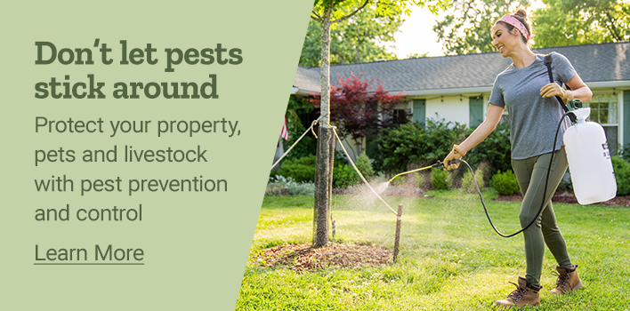 Don't Let Pests Stick Around. Protect  your property, pets and livestock with pest prevention and control