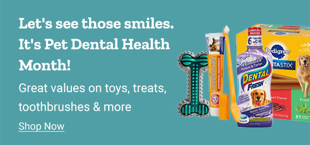 Let's see those smiles. It's Pet Dental Health Month! Great values on toys, treats, toothbrushes and more. Shop Now.