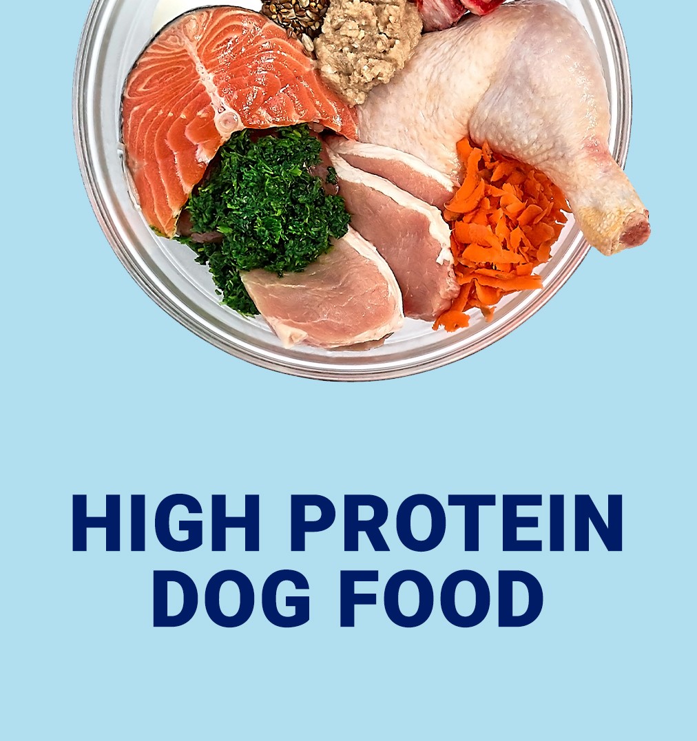High Protein Dog Food.