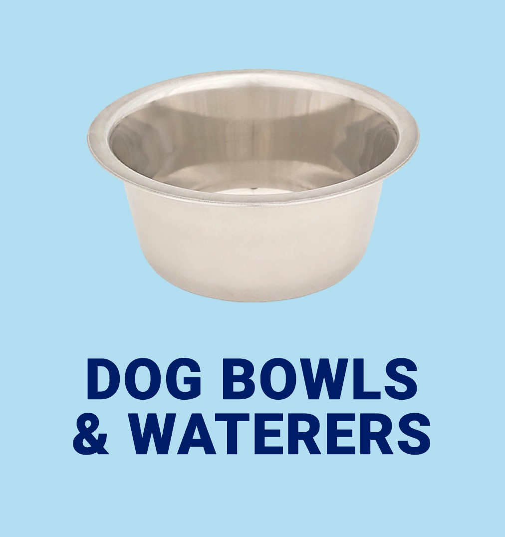 Dog Bowls and Waterers.