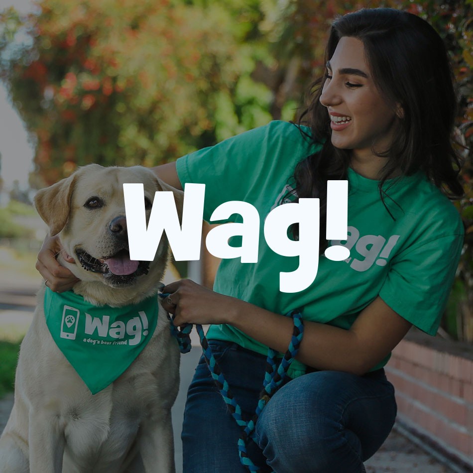 Wag! services 