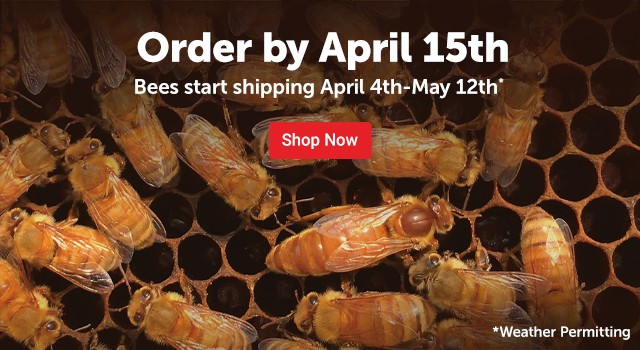 Order Bees by April 15th. They start shipping April 4th-May 12th, weather permitting at Tractor Supply