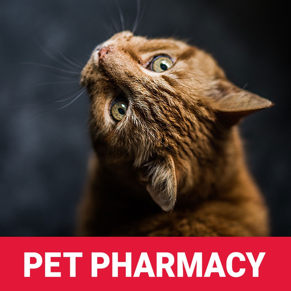 Pet Pharmacy.