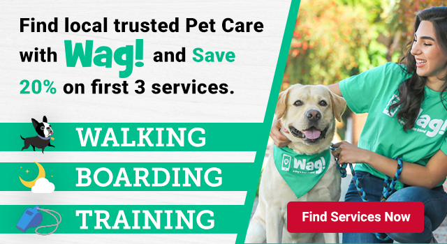 Find local trusted pet care with Wag! and save 20% on first 3 services. Walking boarding training Find services