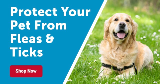 Protect Your Pet From Fleas and Ticks, Shop Now.