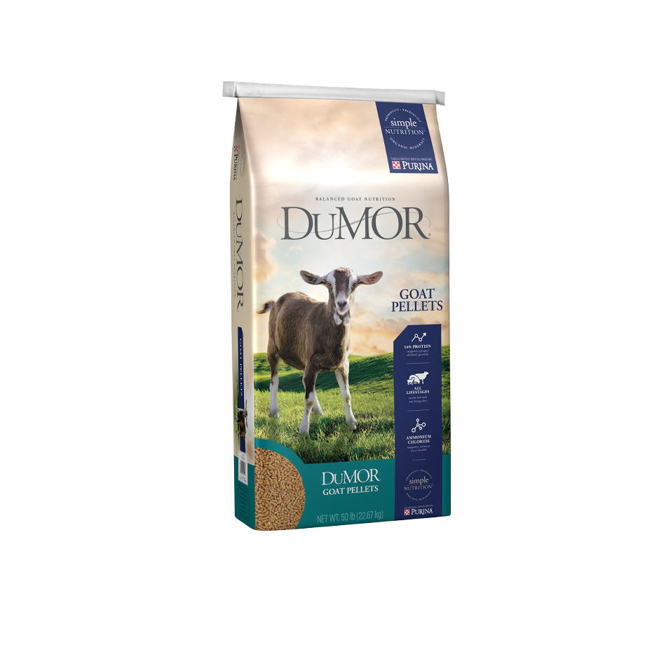 Livestock Feed & Treats (In Stores & Online) Tractor Supply